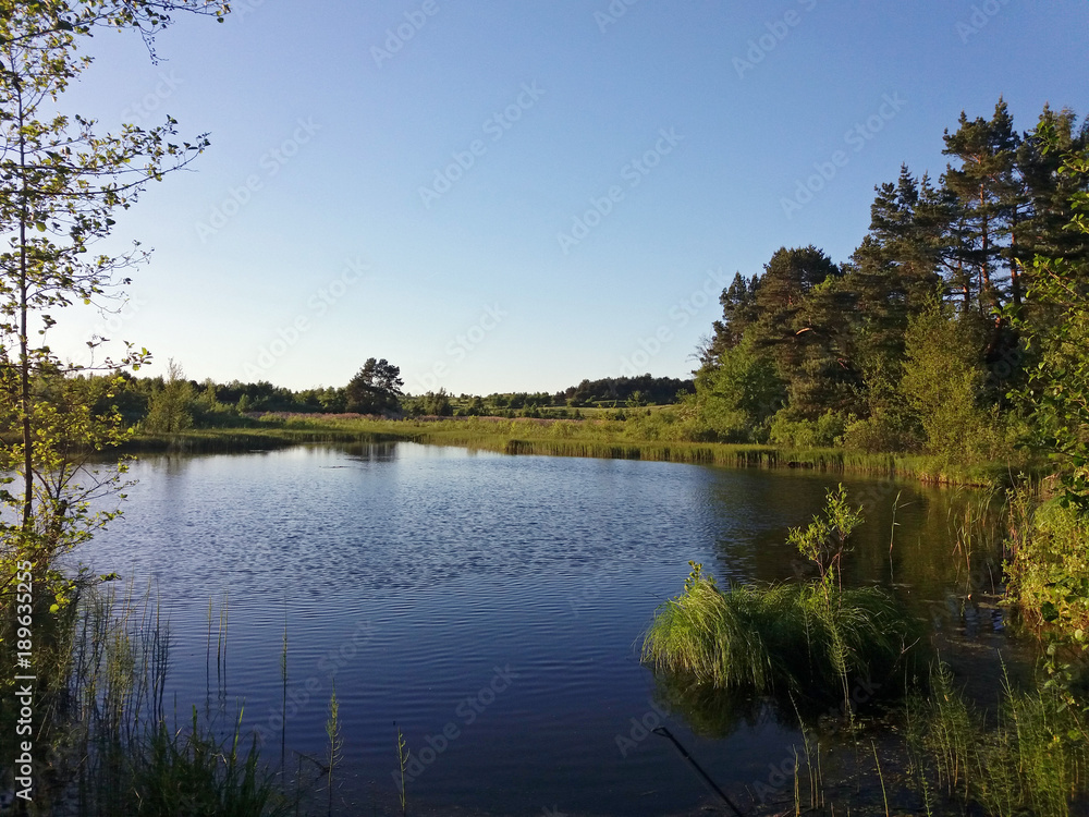 Little lake at north-eastern europe, sunny day, wild nature