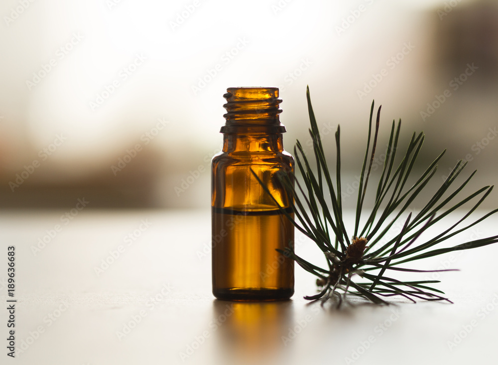 Pine essential oil and pine twigs Pine essential oil and pine twigs