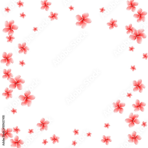Festive Background with plumerias. Feminine Pattern for Postcard, Print, Banner or Poster. Small Pretty  flowers For Party Decoration, Wedding, Birthday or Anniversary Invitation.

