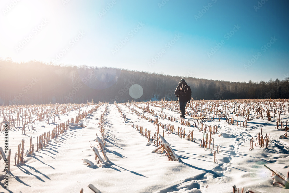 man with sleds goes through a snowy field in the woods man with sleds goes through a snowy field in the woods