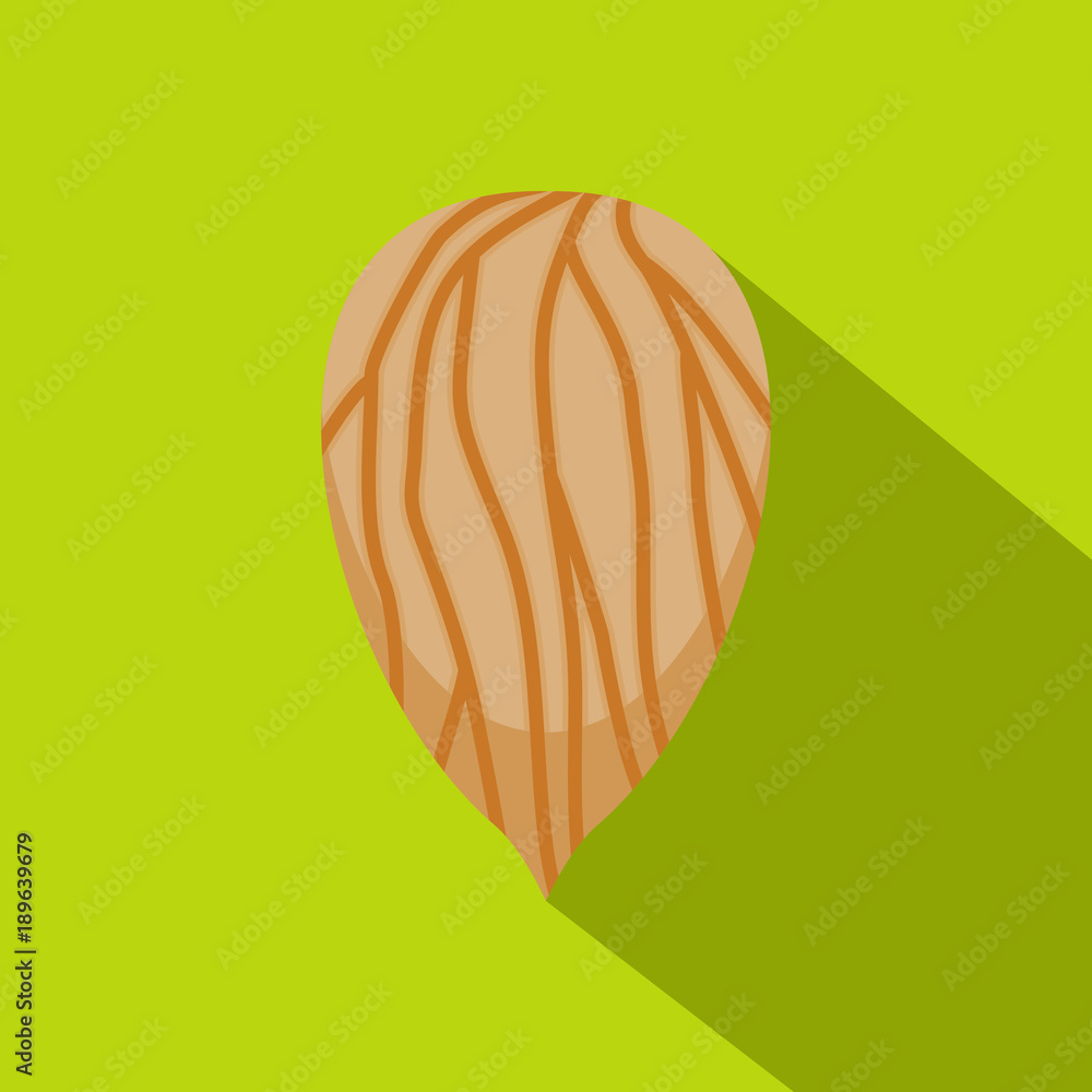 Apricot seed icon, flat style Apricot seed icon, flat style