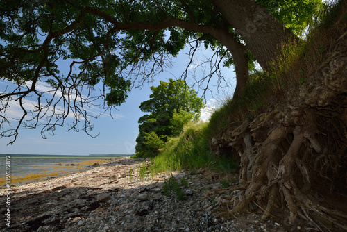 Ostseeküste auf der dänischen Ostseeinsel Insel Als/Alsen