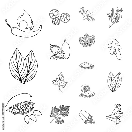Herb and spices outline icons in set collection for design.Different kinds of seasonings vector symbol stock web illustration.