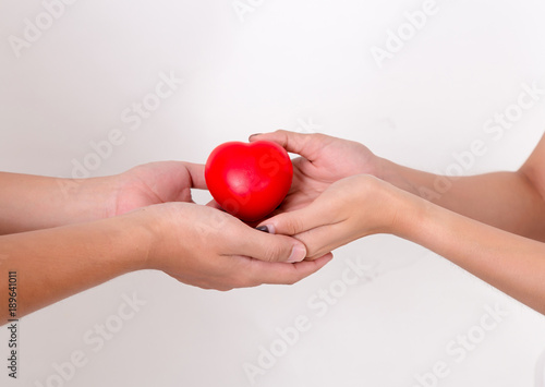 Heart in hands of couple love. Isolated on white background. Studio lighting.
