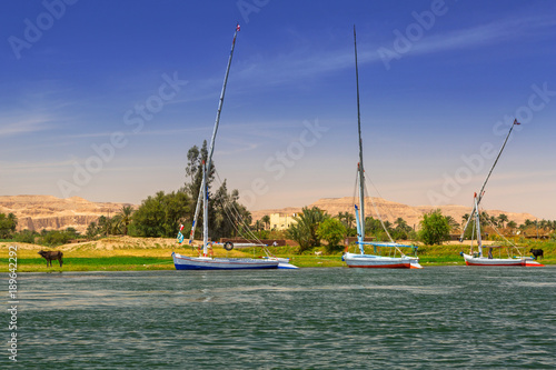 Nile river scenery near Luxor, Egypt photo