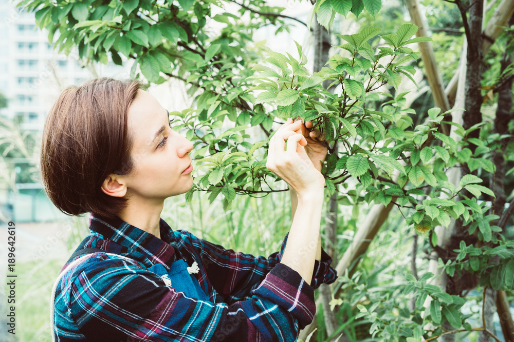 植物を観察する若い女性 植物を観察する若い女性