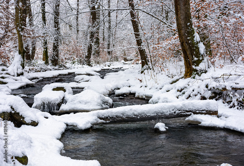 log through a brook in snowy forest with some weathered foliage on the branches. magic nature scenery in winter