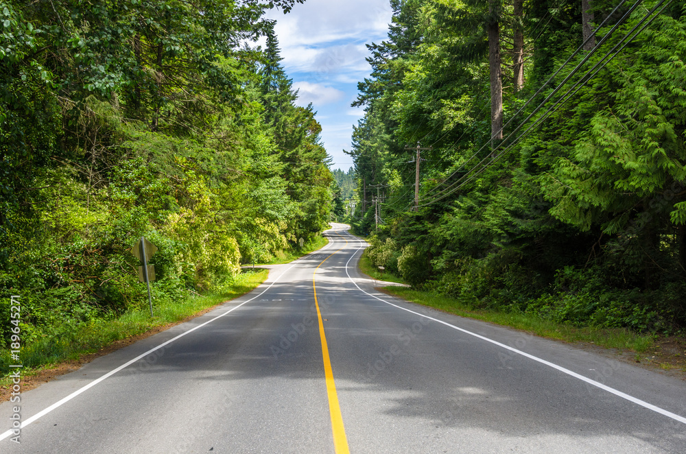 Fototapeta premium Winding Forest Road on a Sunny Summer Day.