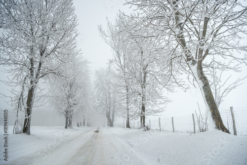 Country road leading among frosted trees © markborbely