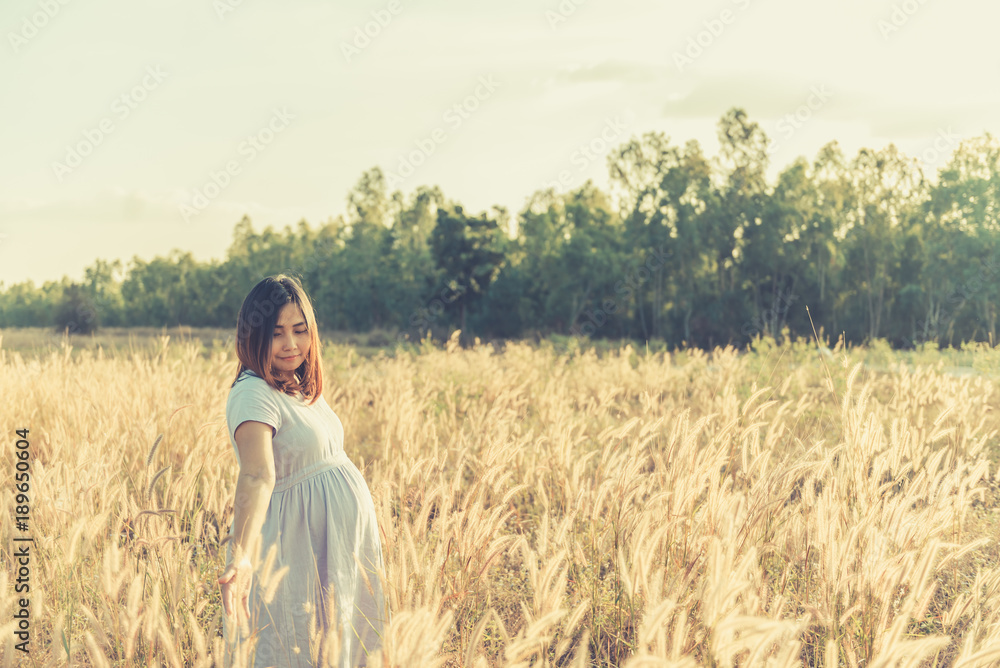 Portrait of pregnant woman on the field,Asian woman hold grass flower on sunset Portrait of pregnant woman on the field,Asian woman hold grass flower on sunset