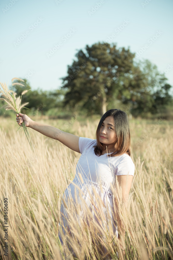 Portrait of pregnant woman on the field,Asian woman hold grass flower on sunset Portrait of pregnant woman on the field,Asian woman hold grass flower on sunset