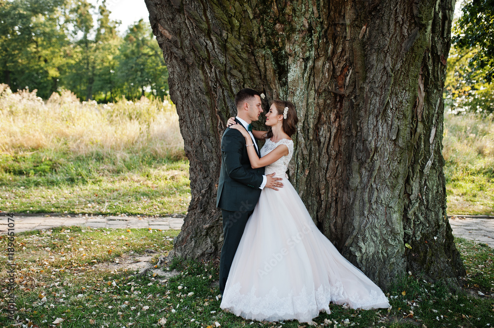Attractive wedding couple hugging next to an old tree in the countryside.