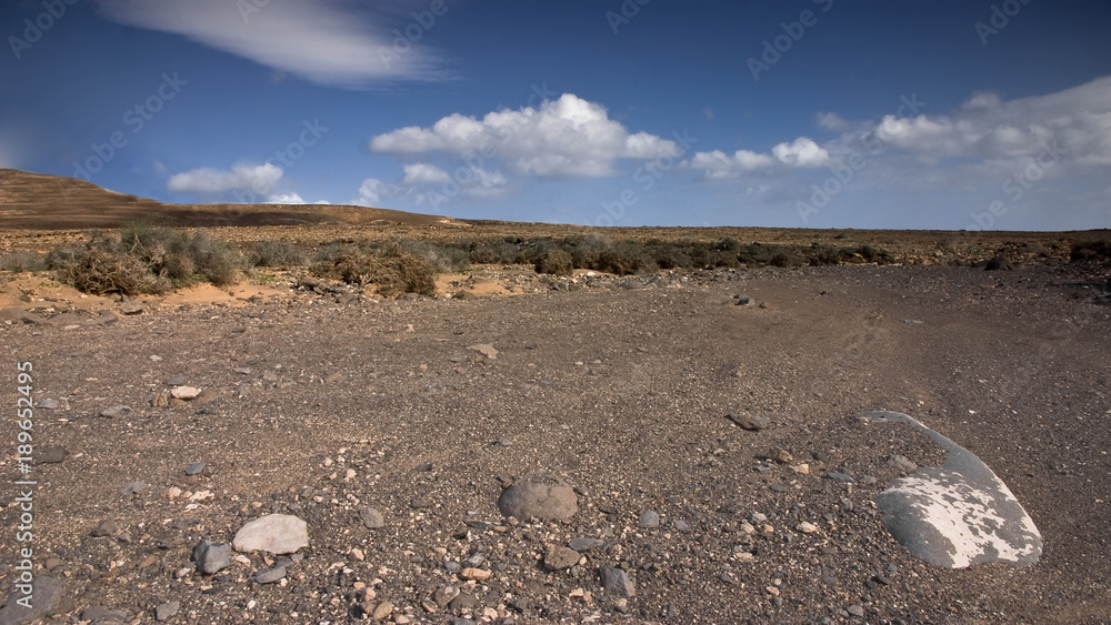 Fuerteventura Desert