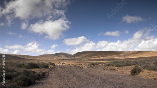 Obraz na płótnie Fuerteventura Desert w salonie