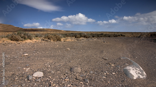 Obraz na płótnie Fuerteventura Desert w salonie
