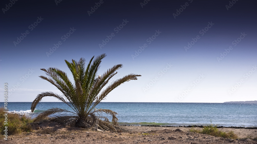 Fuerteventura Beach