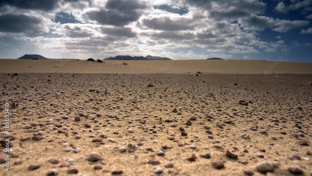 Fuerteventura Desert