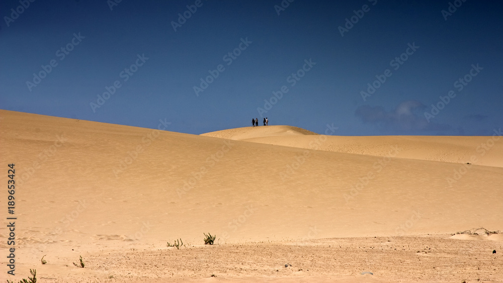 Fuerteventura Desert