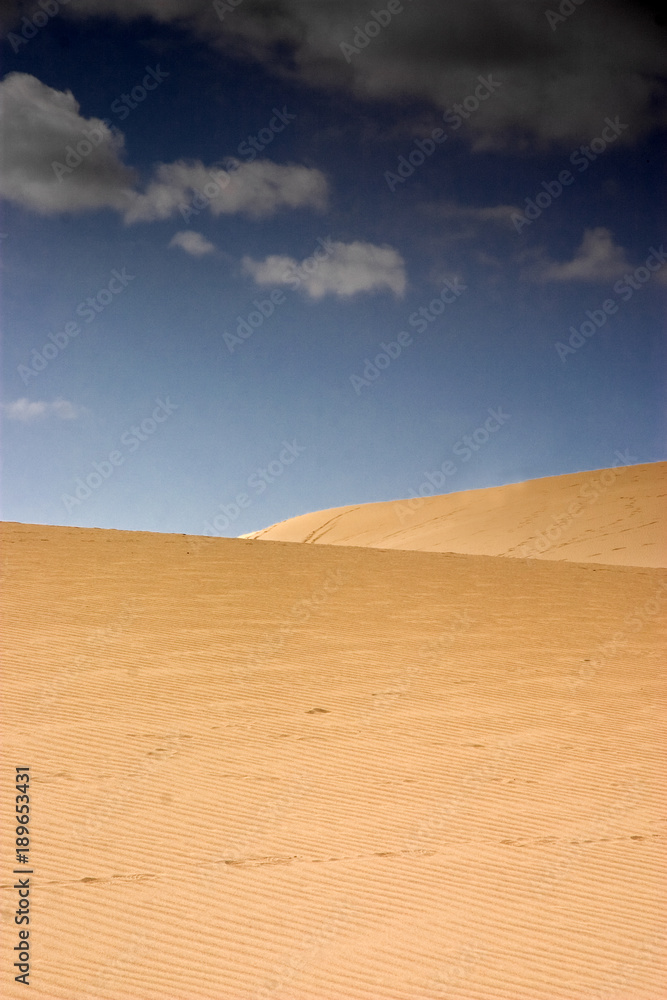 Fuerteventura Desert