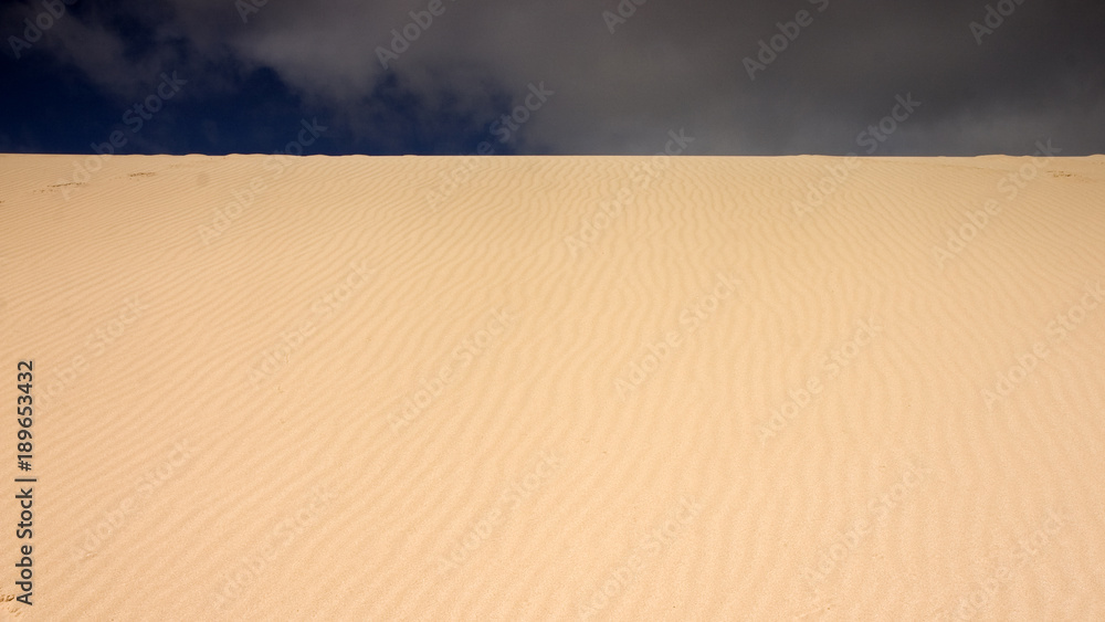 Fuerteventura Desert