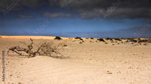 Obraz na płótnie Fuerteventura Desert w salonie