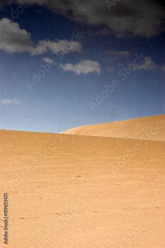 Obraz na płótnie Fuerteventura Desert w salonie