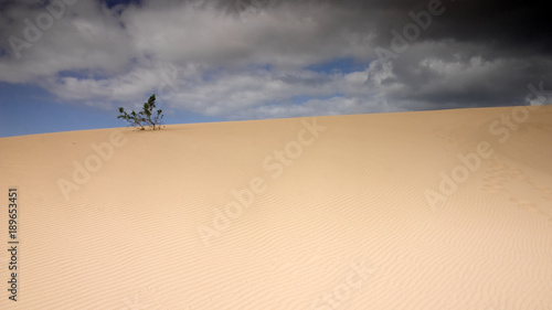 Obraz na płótnie Fuerteventura Desert w salonie
