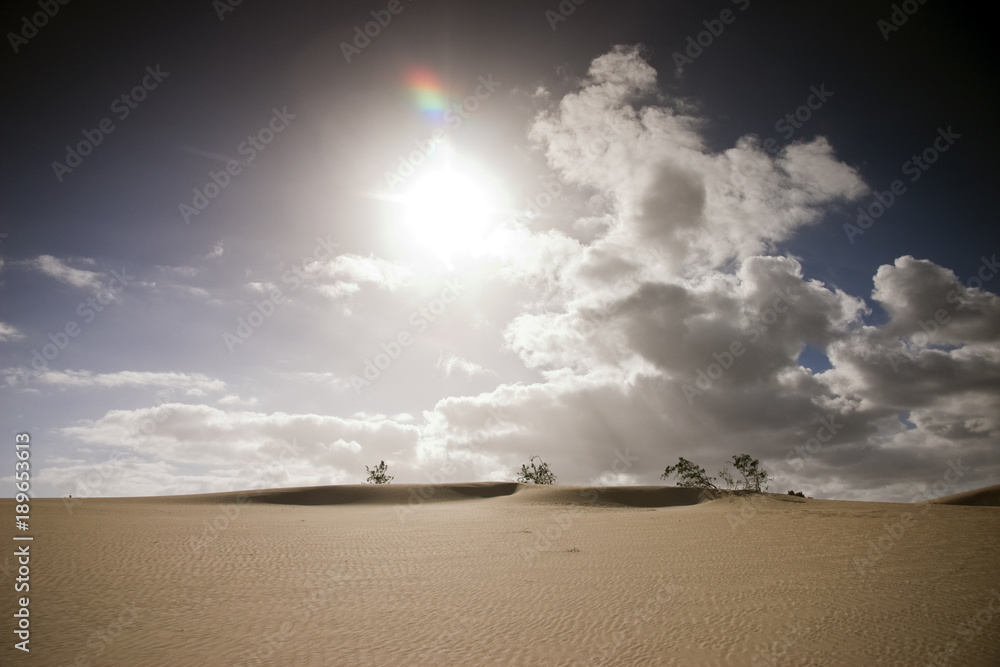 Fuerteventura Desert