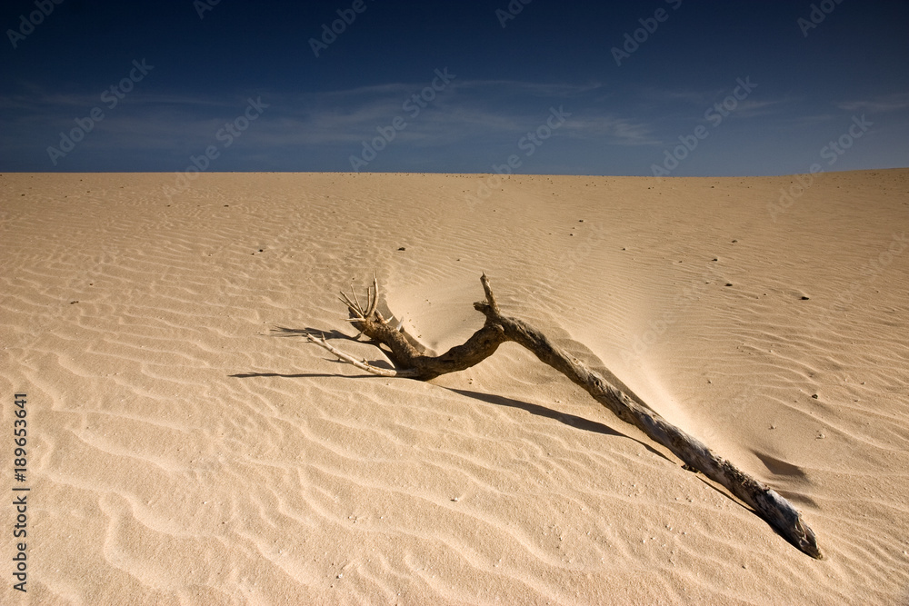 Fuerteventura Desert