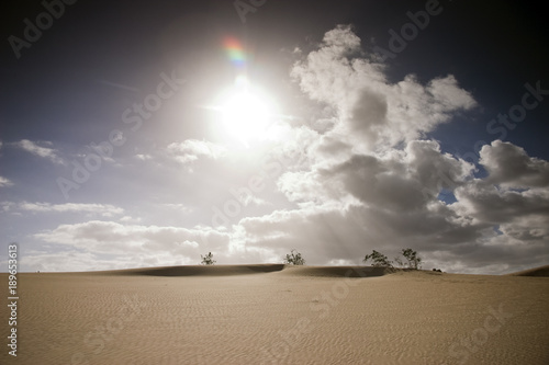 Obraz na płótnie Fuerteventura Desert w salonie