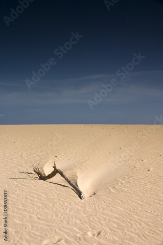 Obraz na płótnie Fuerteventura Desert w salonie
