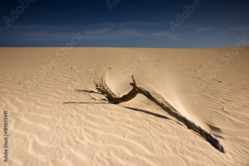 Obraz na płótnie Fuerteventura Desert w salonie
