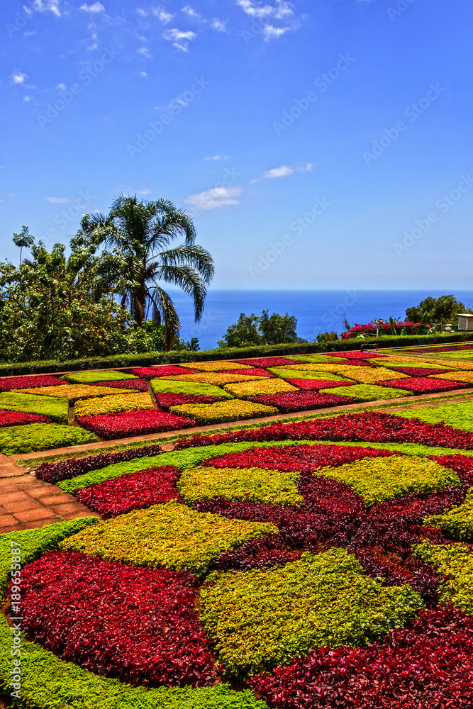 Madeira island landscape, Portugal Botanical Garden Monte, Funchal