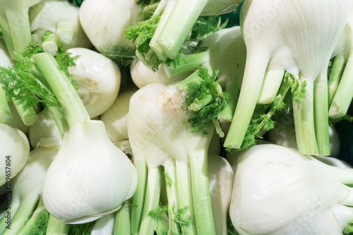 Fenkuł, koper włoski