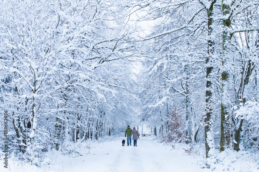 people are walking in the snow-covered forest people are walking in the snow-covered forest