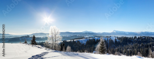 Winter snowy view. Panorama © speakingtomato