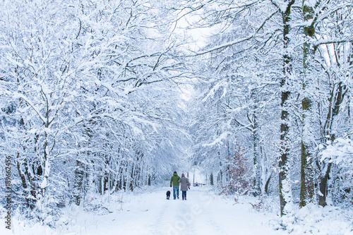 people are walking in the snow-covered forest
