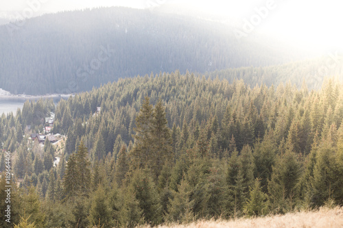 Mountain forest background 