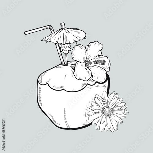 Vector coconut cocktail in lines. Line art style. Isolated on grey background.