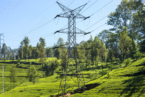 Tea plantation near the town Nuwara Eliya, approx 1900m above sea level. Tea production is on of the main economic sources of the country. Sri Lanka is the worlds fourth-largest producer of tea photo