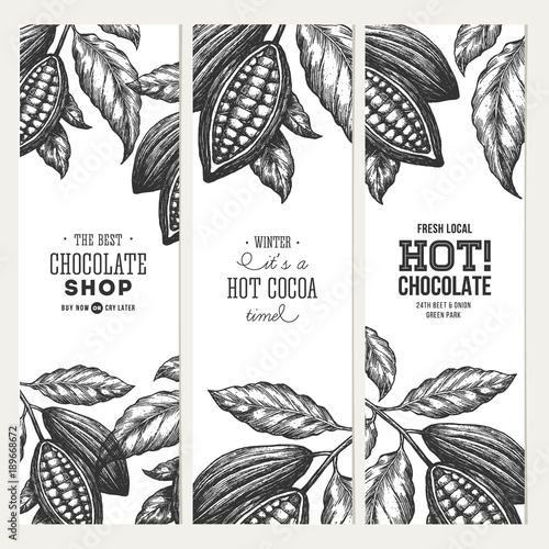 Cocoa bean tree banner collection. Design templates. Engraved style illustration. Chocolate cocoa beans. Vector illustration