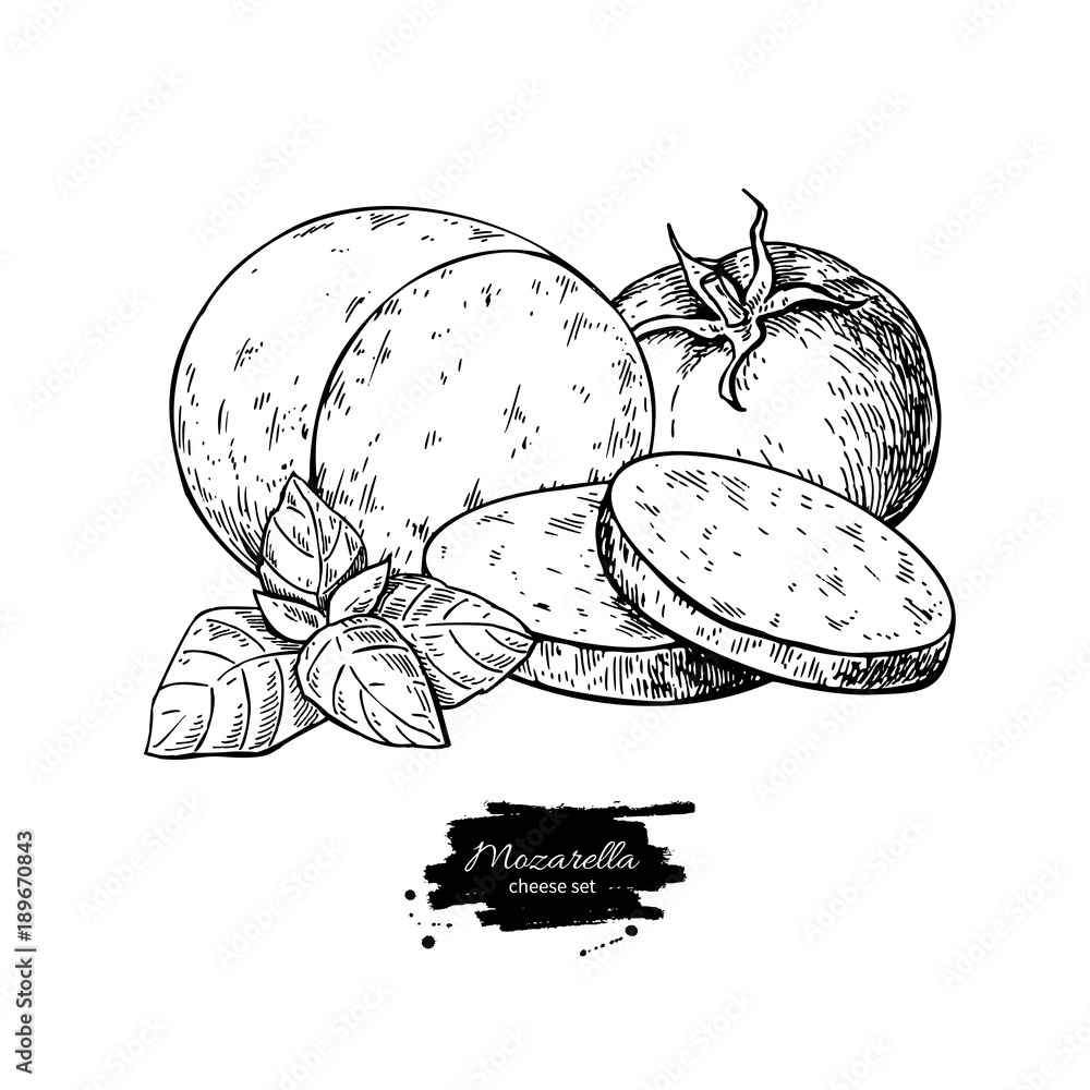 Mozzarella cheese vector drawing. Hand drawn round piece with ba Stock
