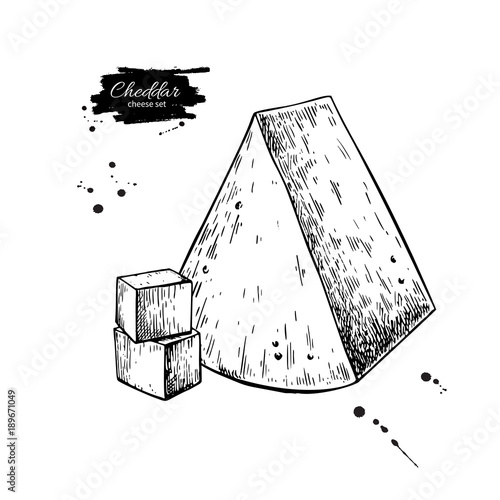 Cheddar cheese drawing. Vector hand drawn food sketch. Engraved triangle Slice