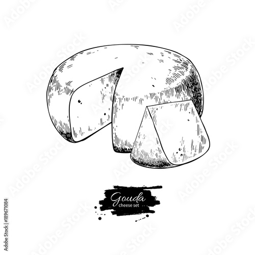 Gouda cheese block drawing. Vector hand drawn food sketch. Engraved Slice cut.