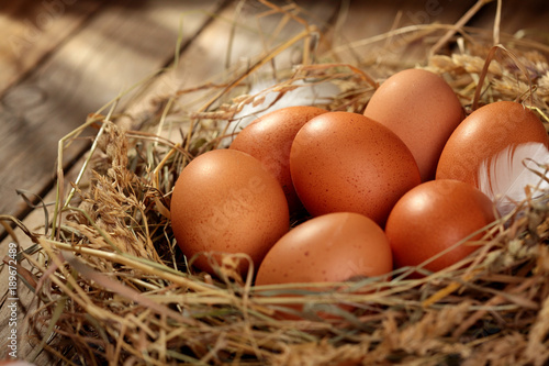 Hen organic eggs in the nest. On wooden rustic background.Copy space photo