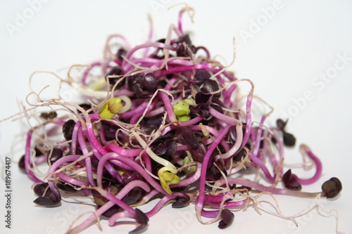 fresh sprouts macro