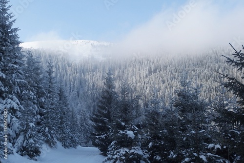 Śnieżnik zimą, Polska