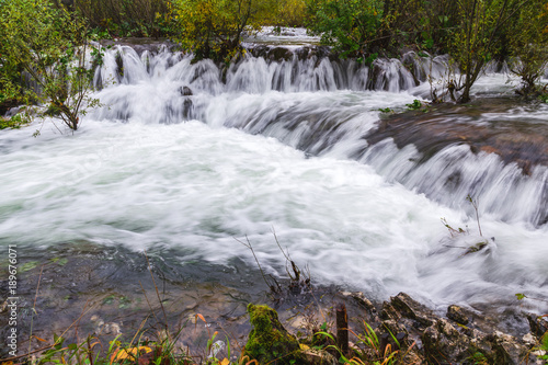 Stream flowing through in the forest