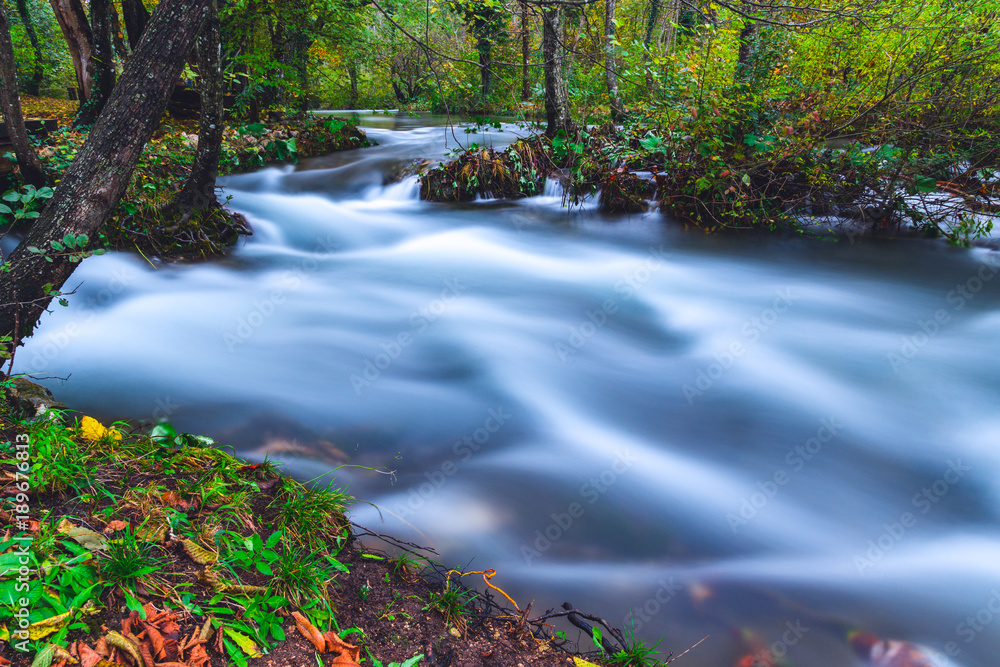 Stream flowing through in the forest Stream flowing through in the forest
