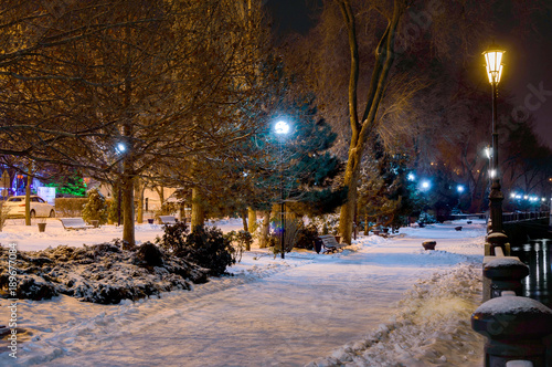 Night winter landscape in the alley of city park © rostovdriver